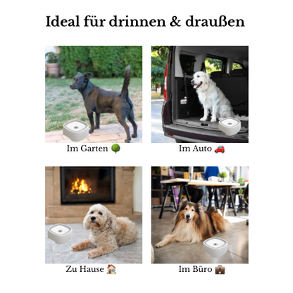 Auslaufsicherer Wassernapf